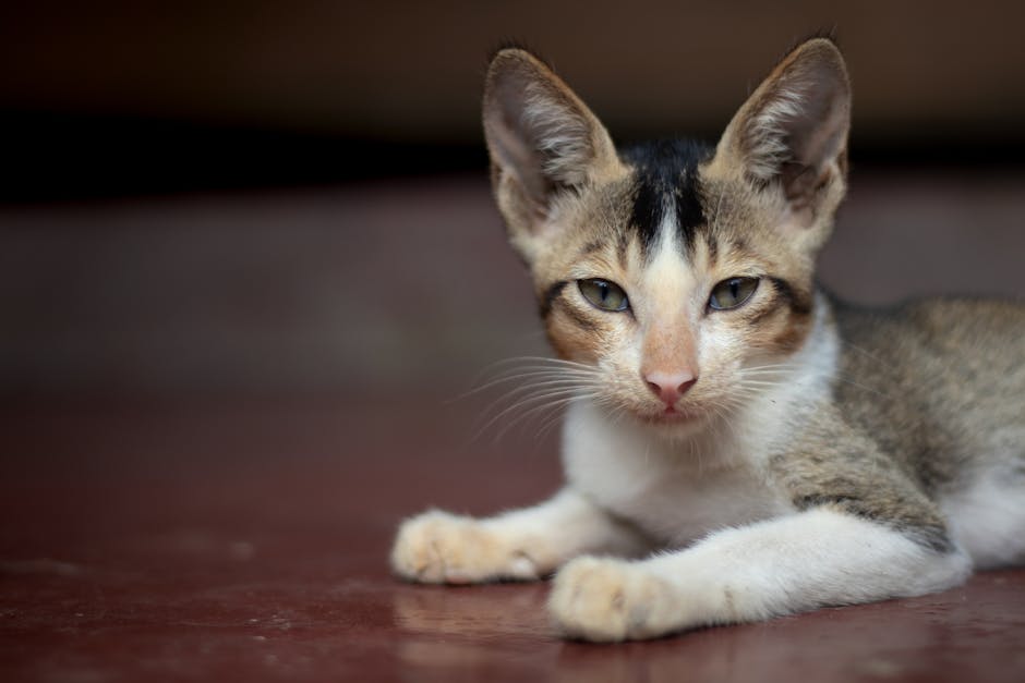 Hyundai Verna 2026 On-Road Price: Is it Cheaper Than the New Kia K4? image 2