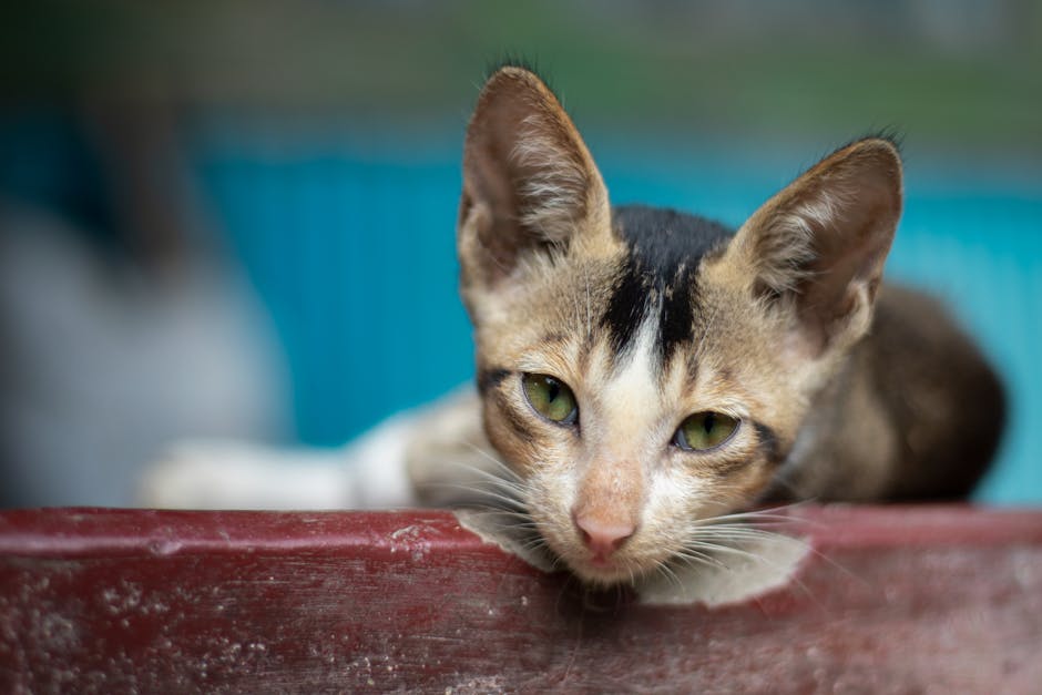 Hyundai Verna Facelift 2026: New Features, Launch Date & Expected Price image 3